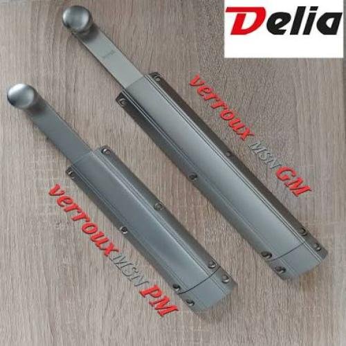 Verroux MSN PM DELIA