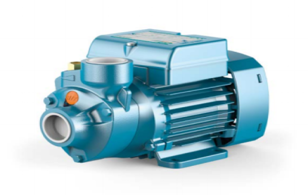 Moteur CITYPUMPS 0.5 CV 